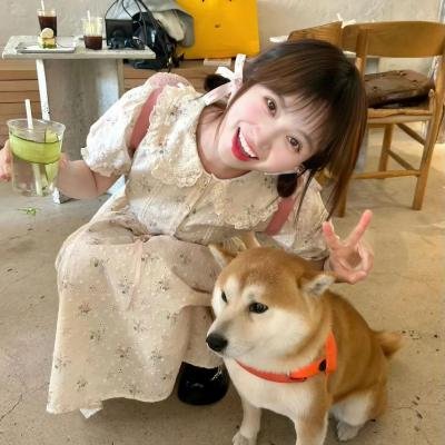重生丫头狠狠爱